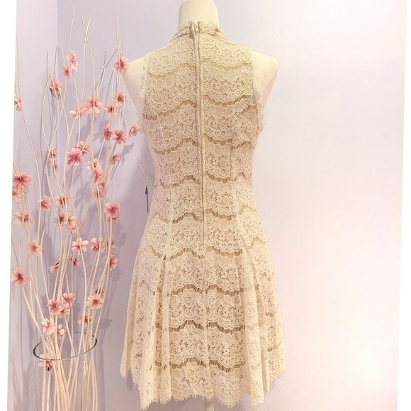 TRIXXI White Lace With Tulle Hem Dress - Picture 3 of 10